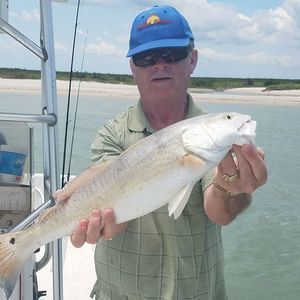 Meet your Posher, Ken